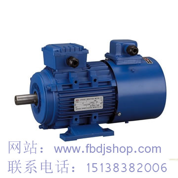 TYBPX变频调速防爆永磁电机.jpg